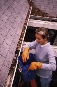 GutterCleaning